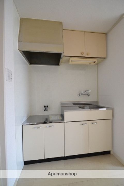 広島県広島市西区大芝1丁目の賃貸マンションのキッチン