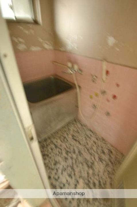 広島県広島市西区中広町3丁目の賃貸マンションの内装