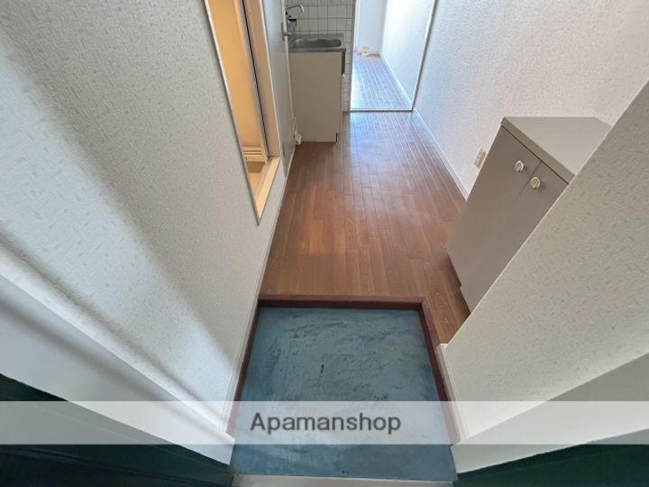 広島県広島市中区舟入幸町の賃貸マンションの内装