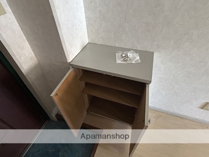 広島県広島市中区舟入幸町の賃貸マンションの内装