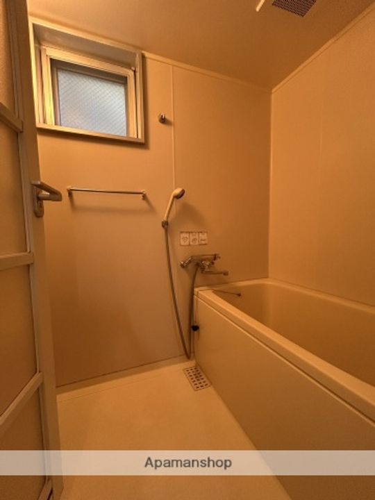 広島県広島市西区己斐中1丁目の賃貸マンションの風呂