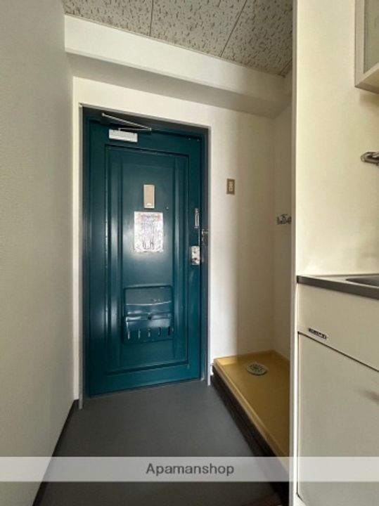 広島県広島市安佐南区山本1丁目の賃貸マンションの玄関