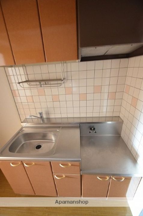 広島県広島市安佐南区中須1丁目の賃貸マンションのキッチン