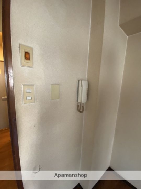 広島県広島市西区楠木町1丁目の賃貸マンションの内装