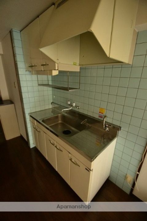 広島県広島市中区舟入本町の賃貸マンションのキッチン