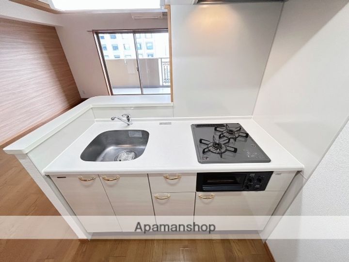 広島県広島市中区宝町の賃貸マンションの内装