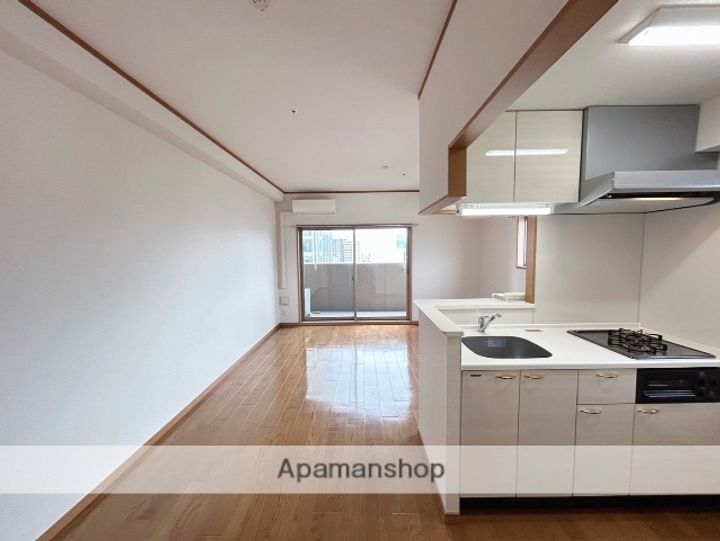 広島県広島市中区宝町の賃貸マンションの内装