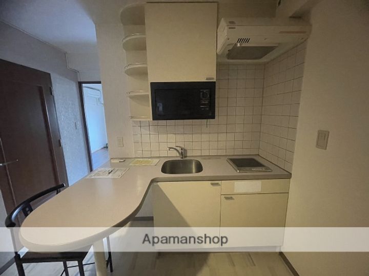 広島県広島市中区中島町の賃貸マンションのキッチン