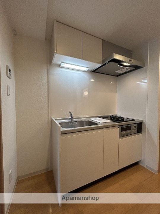広島県広島市中区舟入南6丁目の賃貸マンションのキッチン