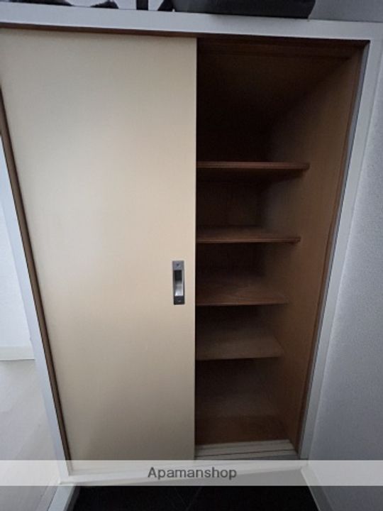 広島県広島市西区横川町2丁目の賃貸マンションの内装