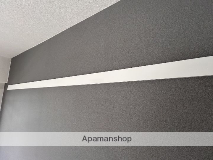 広島県広島市西区横川町2丁目の賃貸マンションの内装