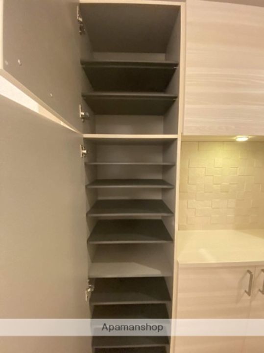 広島県広島市安佐南区西原8丁目の賃貸マンションの内装