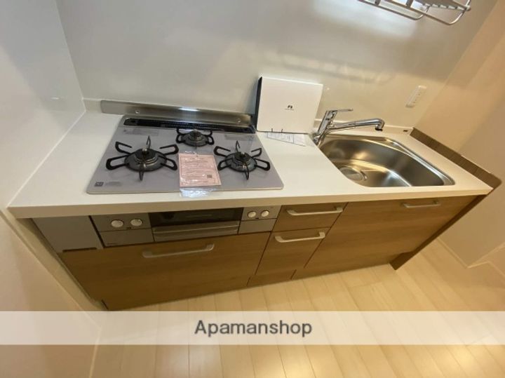 広島県広島市安佐南区西原8丁目の賃貸マンションの内装