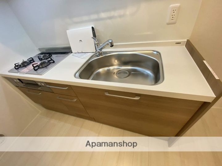 広島県広島市安佐南区西原8丁目の賃貸マンションの内装