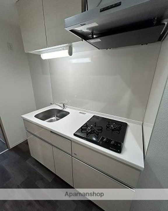 広島県広島市西区南観音町の賃貸マンションのキッチン