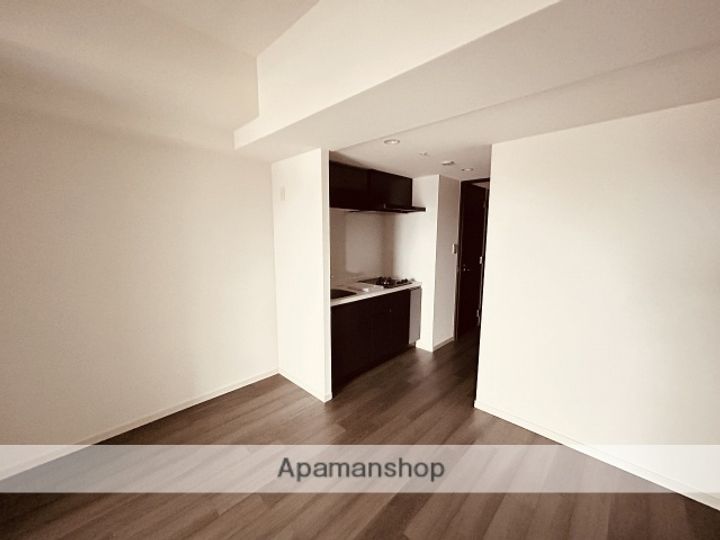 広島県広島市西区西観音町の賃貸マンションの内装