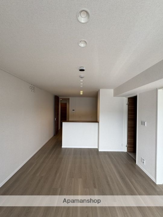 広島県広島市南区北大河町の賃貸マンションの内装