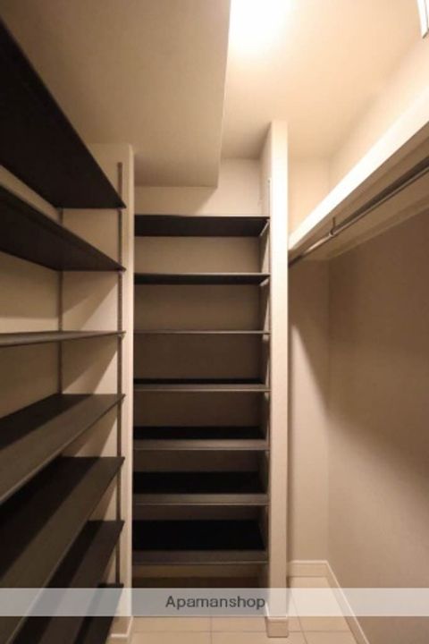 広島県広島市中区三川町の賃貸マンションの内装