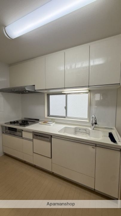 広島県広島市南区段原山崎3丁目(一戸建)の賃貸物件のキッチン