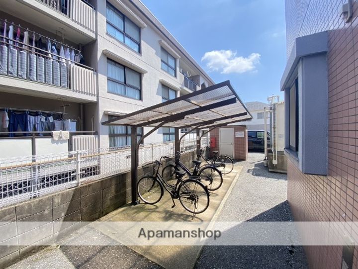 プロスパーヤマモトのその他画像