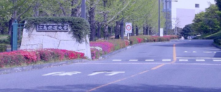 パラジソ大町203の周辺