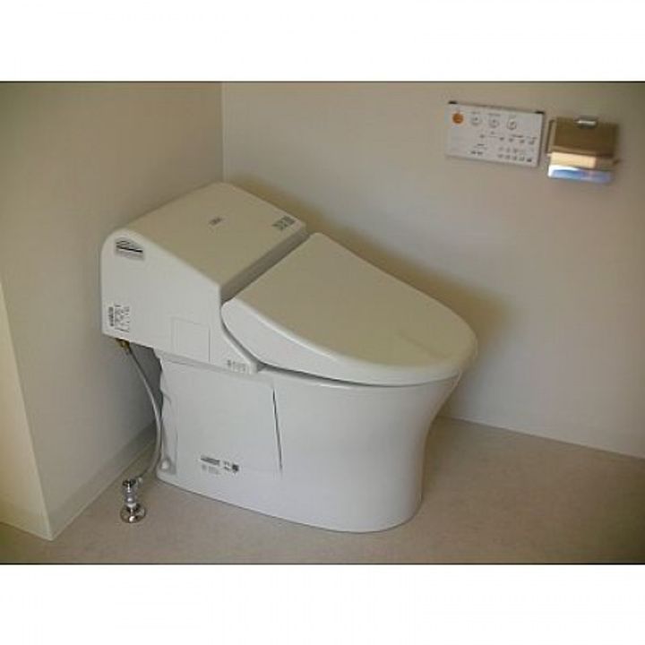 広島県広島市西区三滝本町1丁目の賃貸マンションの内装