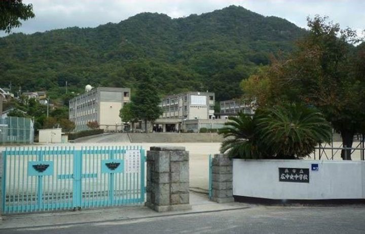 サンフラワーの周辺