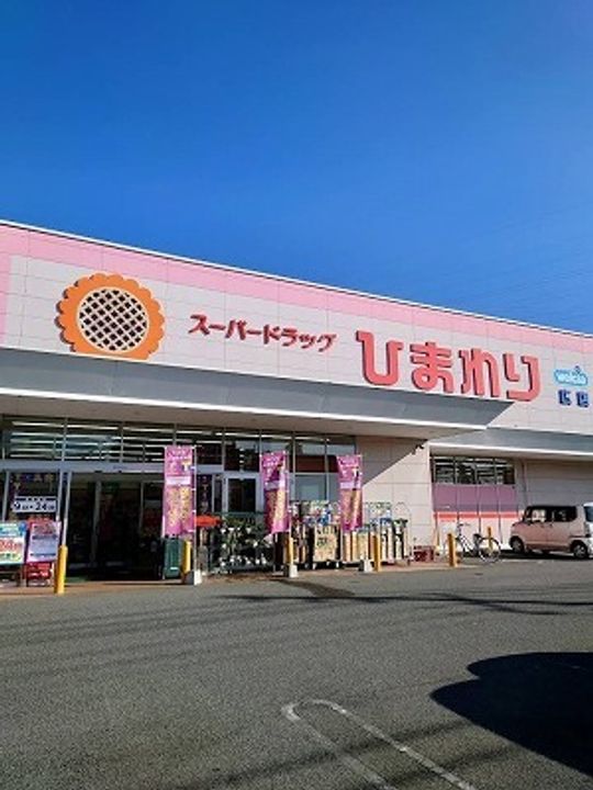 サンフラワーの周辺