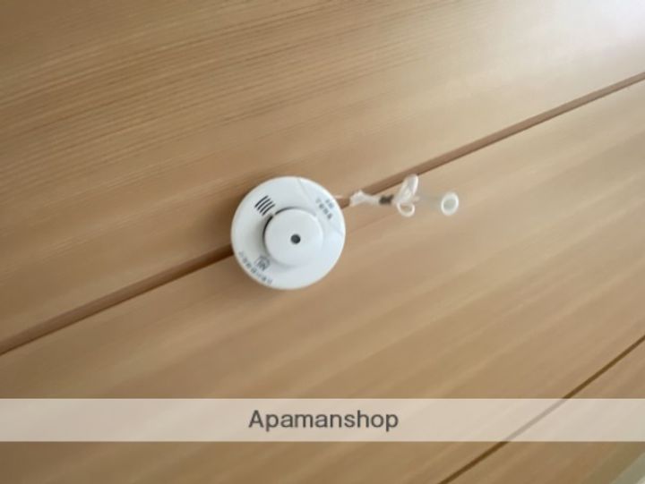 メゾンレスポワール C201の内装