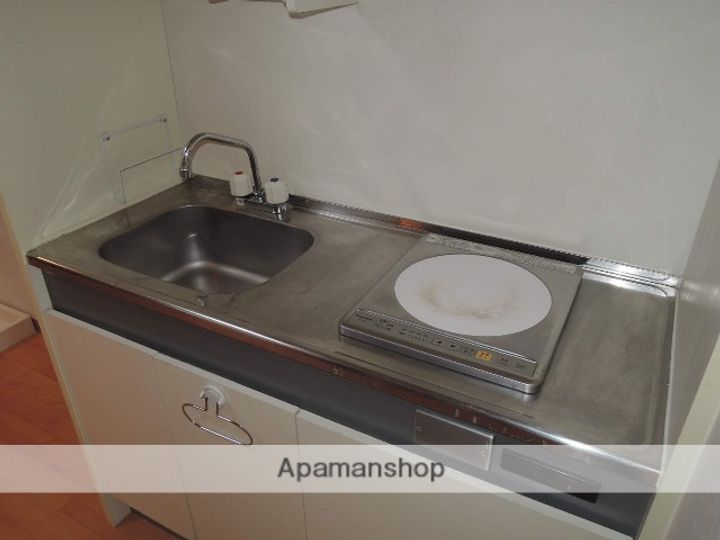 プラリジェール306のキッチン