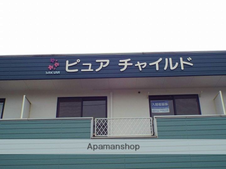 ピュアチャイルドの外観