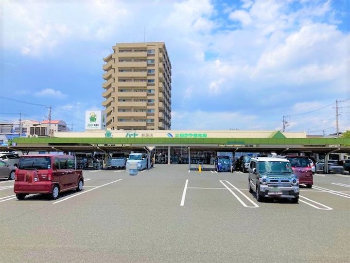 レオパレスアベニュー新涯Ⅱの周辺