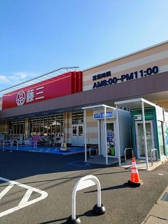 サンフラワーの周辺