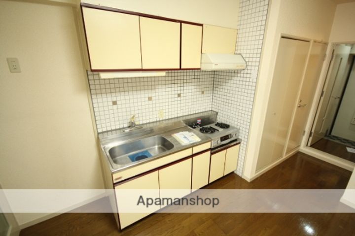 広島県広島市西区観音本町2丁目の賃貸マンションのキッチン