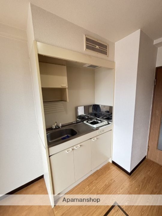 広島県広島市安佐南区中須1丁目の賃貸マンションのキッチン