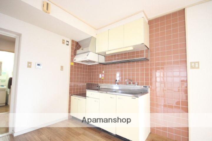 広島県広島市西区高須1丁目の賃貸マンションのキッチン