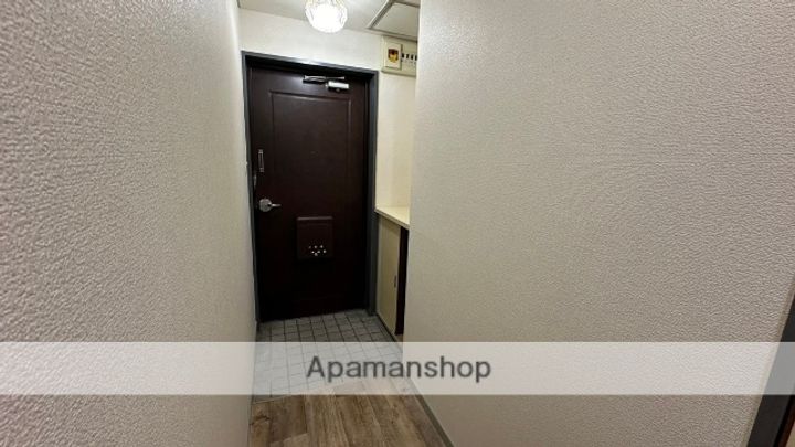 広島県広島市南区東雲本町3丁目の賃貸マンションの玄関