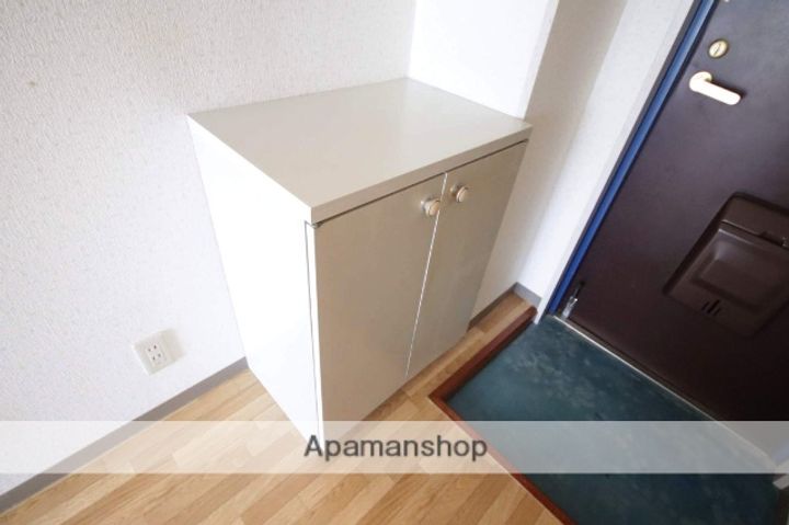 広島県広島市安佐南区大町東2丁目の賃貸マンションの内装