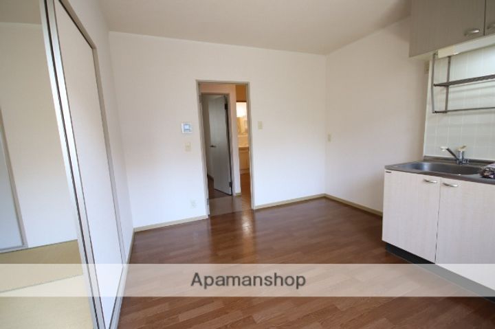 広島県広島市安佐南区上安2丁目の賃貸アパートの内装