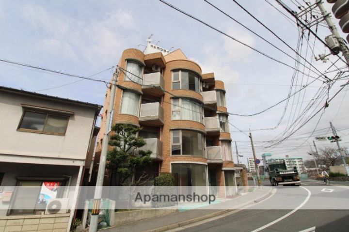 広島県広島市中区白島九軒町の賃貸マンションの外観