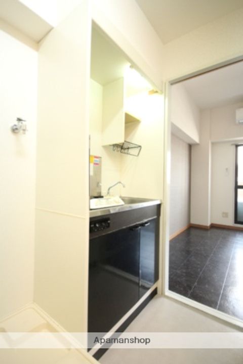 広島県広島市南区比治山町の賃貸マンションの内装