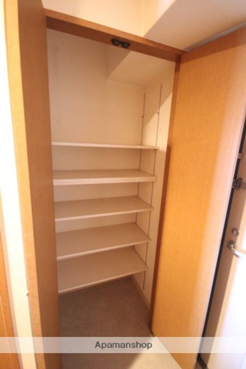 広島県広島市中区加古町の賃貸マンションの内装