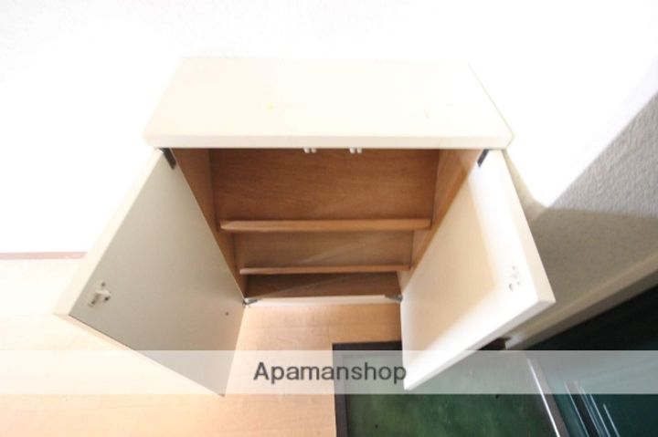 広島県広島市安佐南区長楽寺1丁目の賃貸マンションの内装