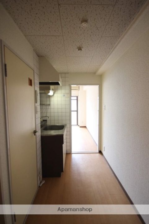 広島県広島市安佐南区長楽寺1丁目の賃貸マンションの内装