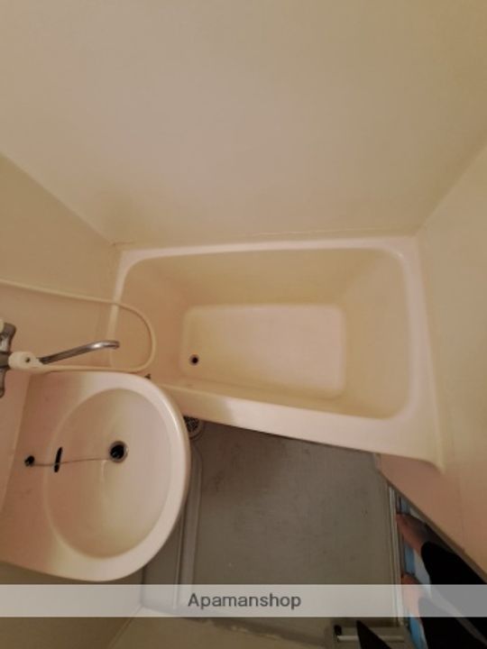 広島県広島市安佐南区長楽寺1丁目の賃貸マンションの内装