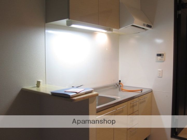 広島県広島市中区大手町5丁目の賃貸マンションのキッチン