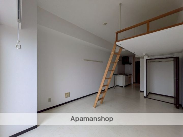 広島県広島市中区東平塚町の賃貸マンションの内装