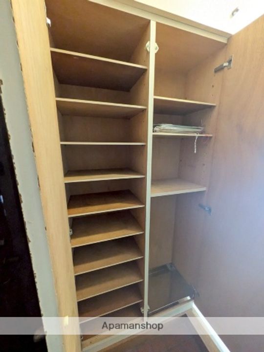 広島県広島市南区皆実町4丁目の賃貸マンションの内装