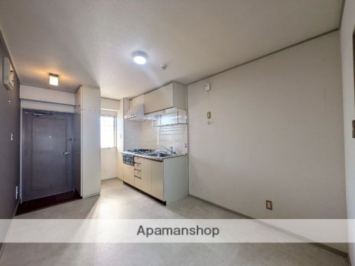 広島県広島市南区皆実町4丁目の賃貸マンションの内装