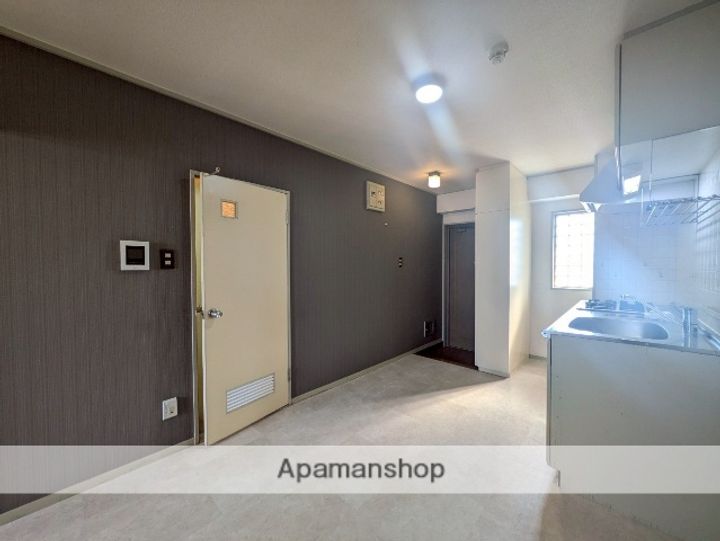 広島県広島市南区皆実町4丁目の賃貸マンションの内装